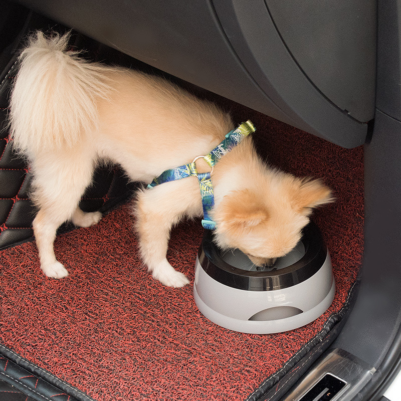 Миски для собак с защитой от н – обзор и цена Slow Feeder Dog Bowl