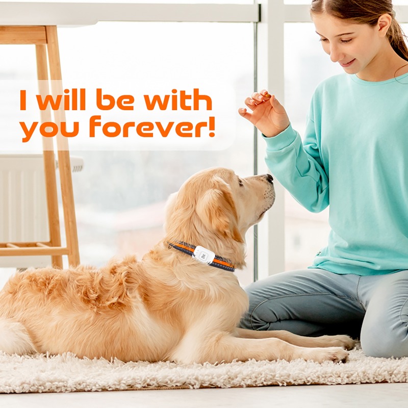Устройство слежения GPS AGPS д – обзор и цена Pet Supplies Discount