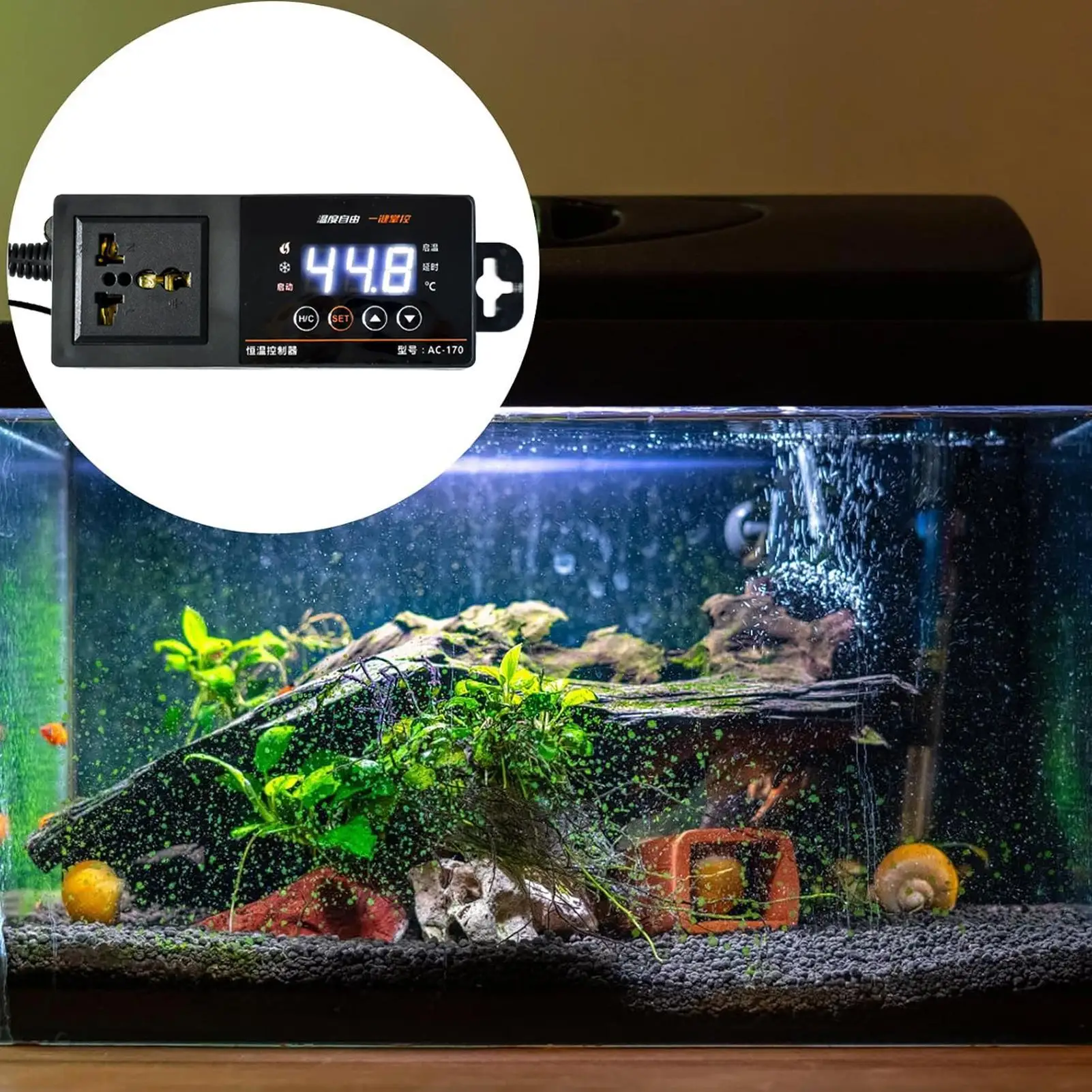 Термостат для террариума с LED – обзор и цена Pet Supplies In Uk