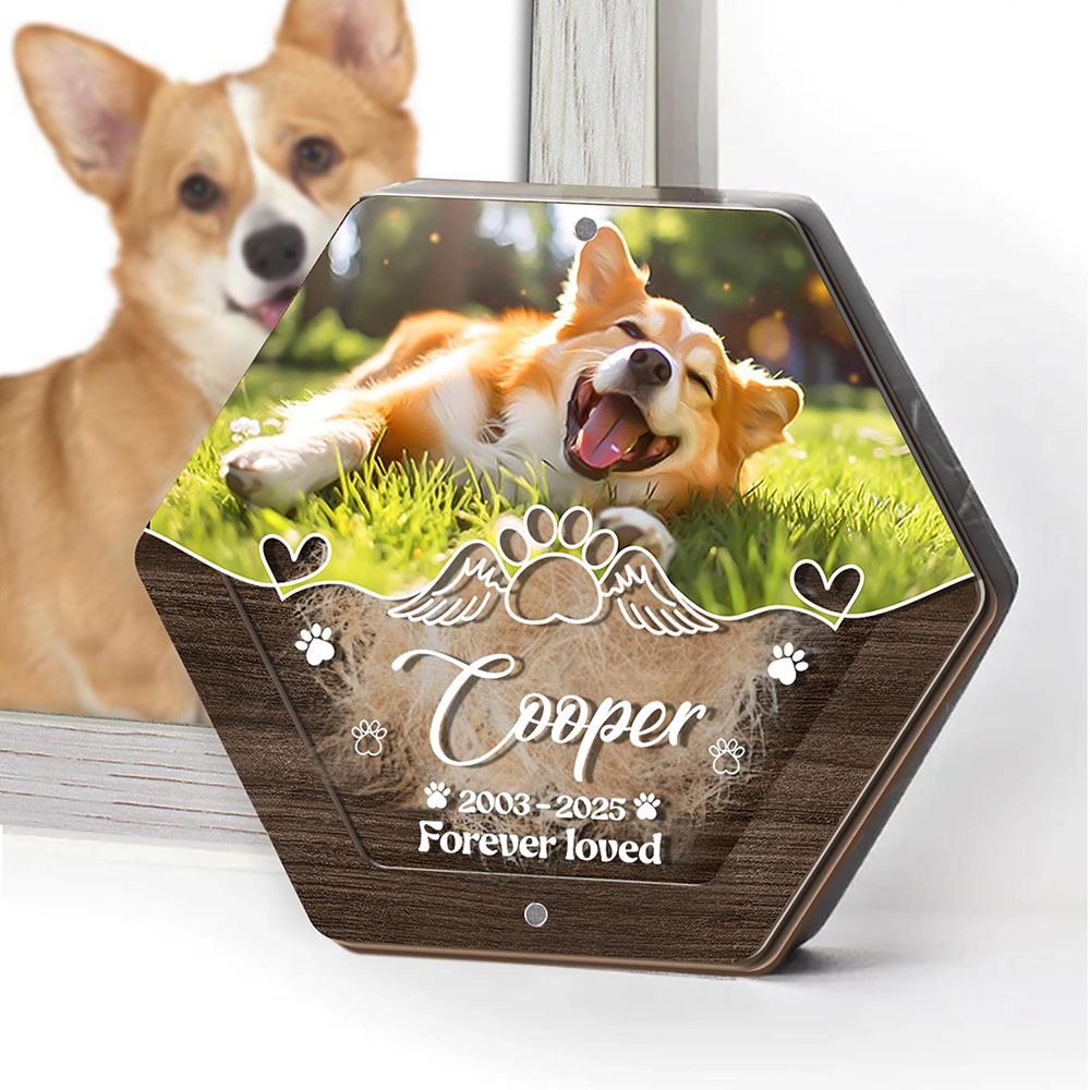 Персонализированное имя, дерев – обзор и цена Pet Supplies Discount