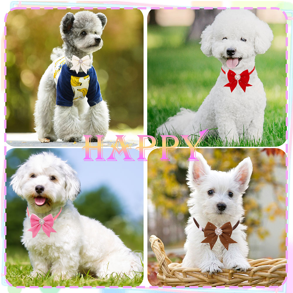 8 шт. ошейник для собак, цвето – обзор и цена Pet Supplies In Bulk