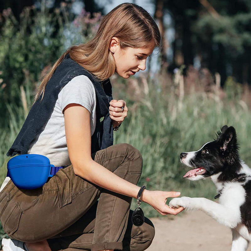 Силиконовая сумка для собак, п – обзор и цена Pet Supplies Rewards