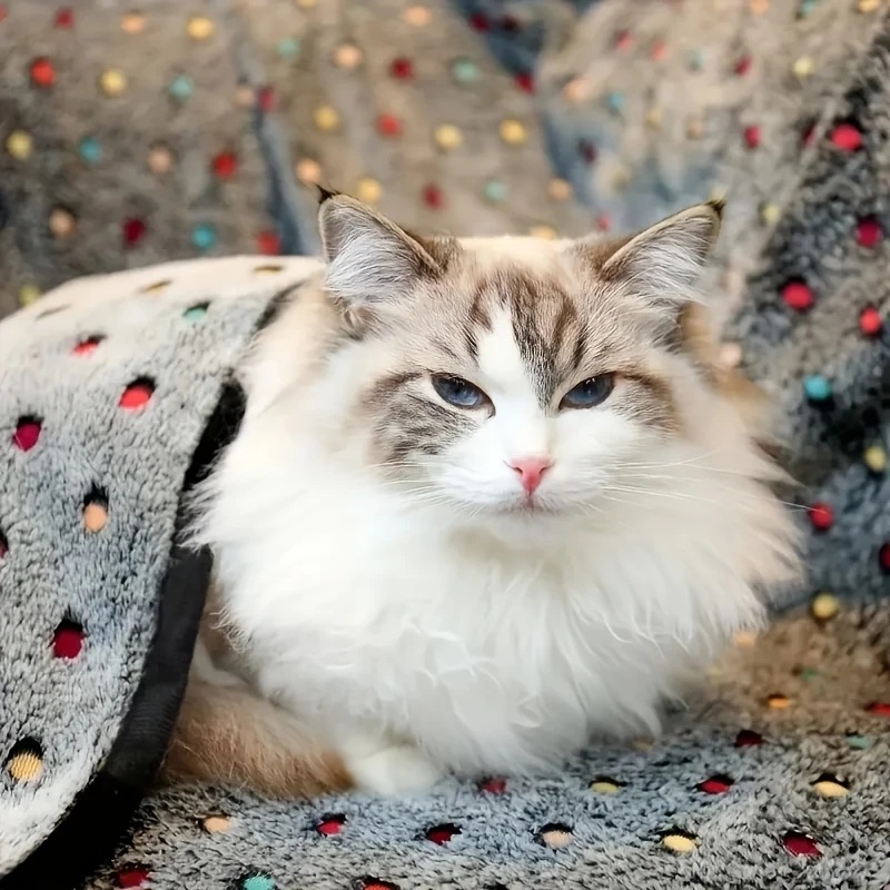 3 шт. мягкое пушистое одеяло д – обзор и цена Pet Supplies Discount