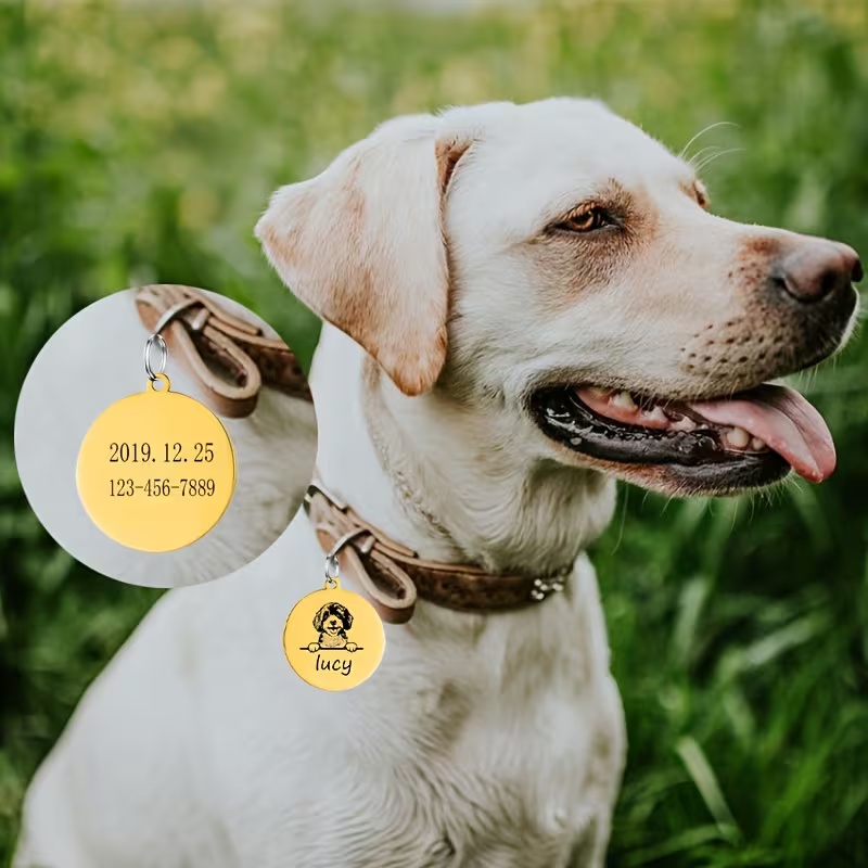 Персонализированные ошейники д – обзор и цена Pet Supplies Discount