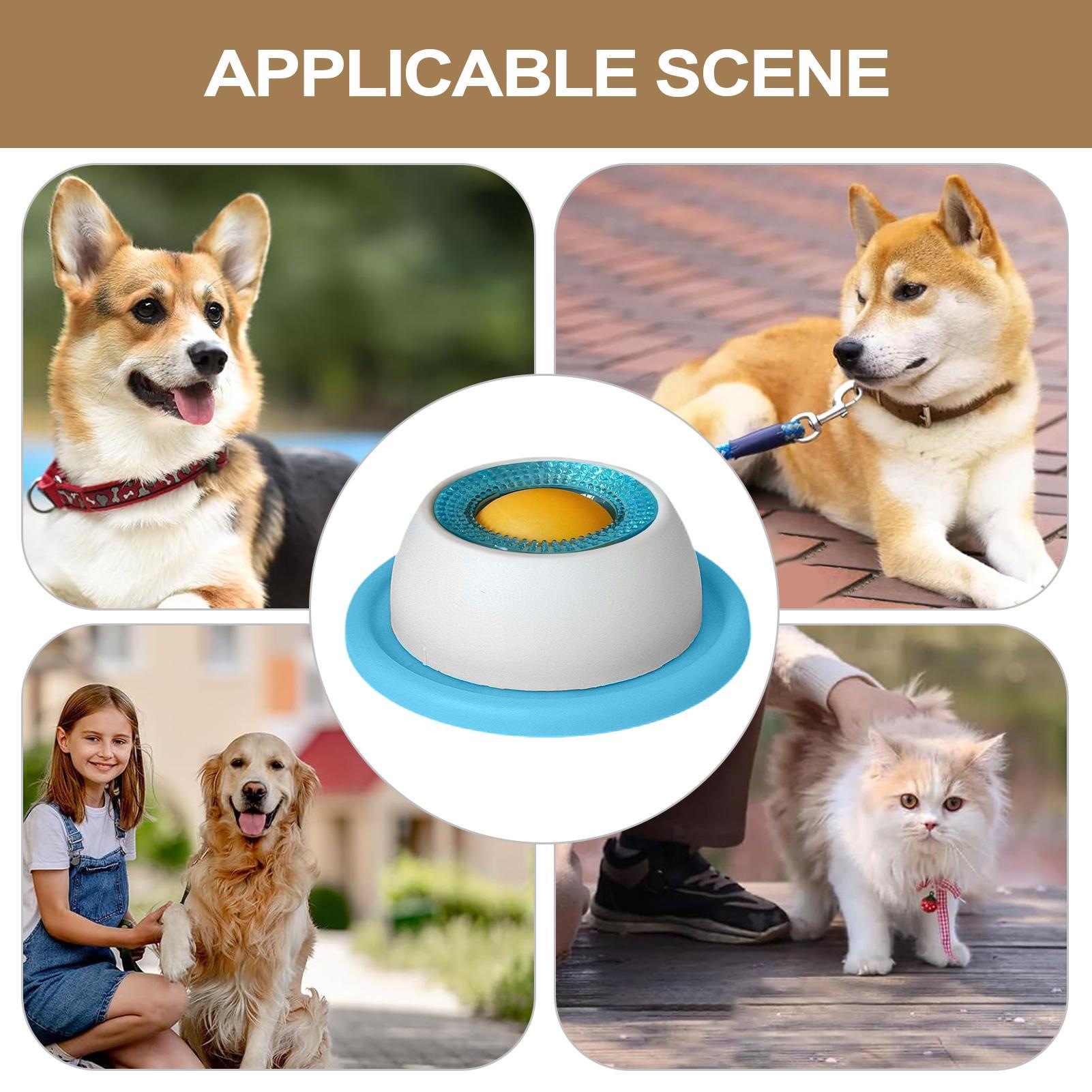 Игрушка-головоломка для собак: – обзор и цена Slow Feeder Dog Bowl