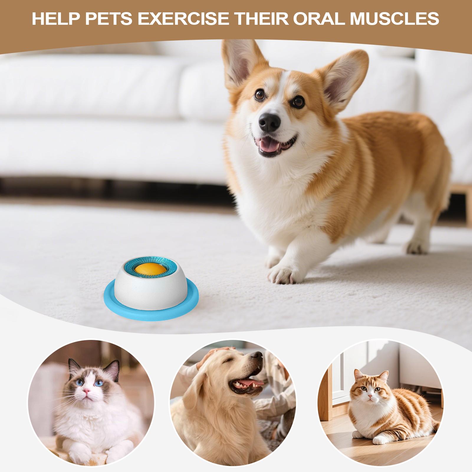 Игрушка-головоломка для собак: – обзор и цена Slow Feeder Dog Bowl